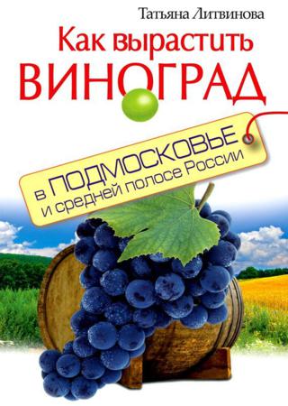 Как вырастить виноград в Подмосковье и средней полосе России