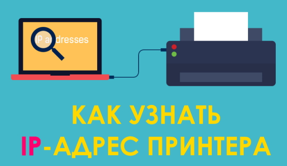 Как узнать сетевой IP адрес своего принтера в Windows