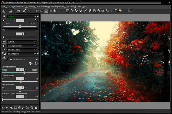 SILKYPIX Developer Studio Pro 5.0.10.2