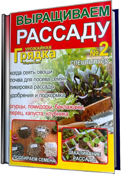 рассада