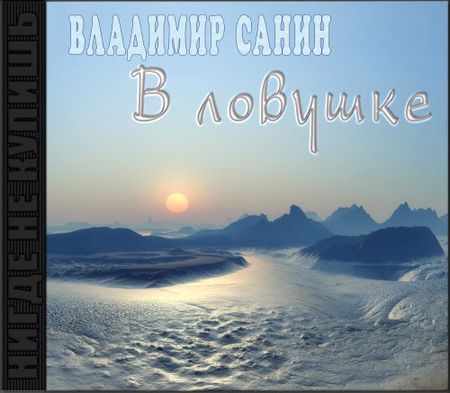 Владимир Санин. В ловушке