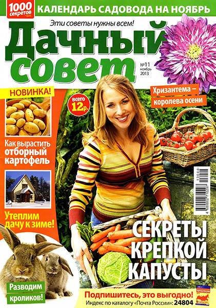 Дачный совет №11 2013