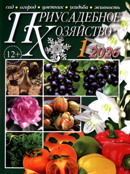 Приусадебное хозяйство №1 январь 2026 + приложения Цветы в саду и дома Дачная кухня