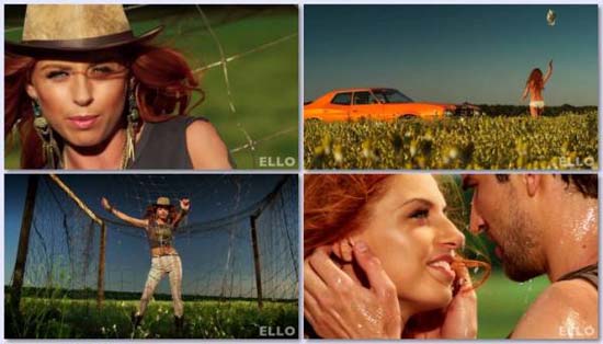 Чи-Ли - Ромашковое поле