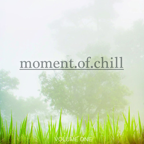 Moment Of Chill Vol.1: Selection Of Finest Ambient and Relaxing Beats
