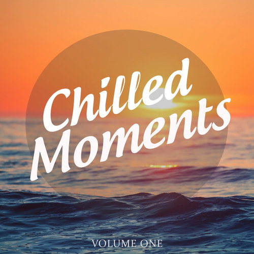 Chilled Moments Vol.1: Collection Of Super Smooth Electronica