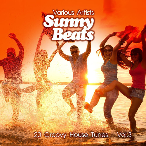 Sunny Beats: 20 Groovy House Tunes Vol.3