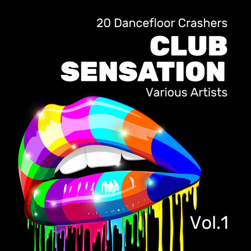 Club Sensation: 20 Dancefloor Crashers Vol.1