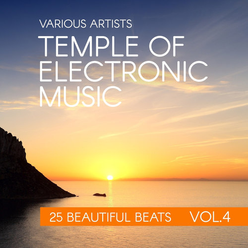Temple Of Electronic Music: 25 Beautiful Beats Vol.4