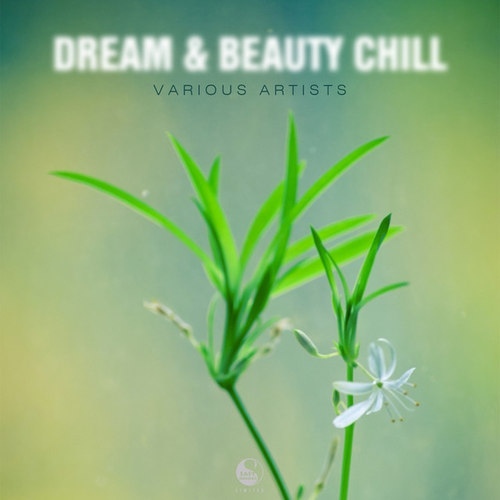 Dream and Beauty Chill