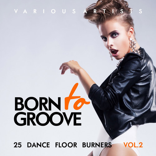Born To Groove: 25 Dance Floor Burners Vol.2