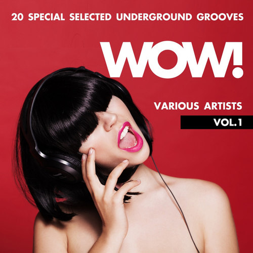 WOW! 20 Special Selected Underground Grooves Vol.1