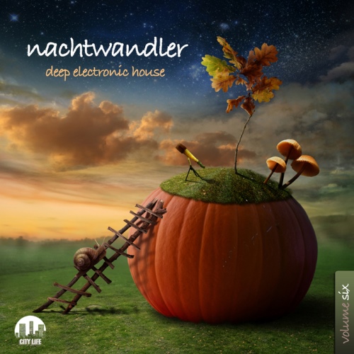 Nachtwandler, Vol. 6. Deep Electronic House