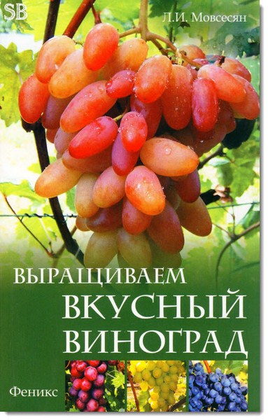 Выращиваем вкусный виноград