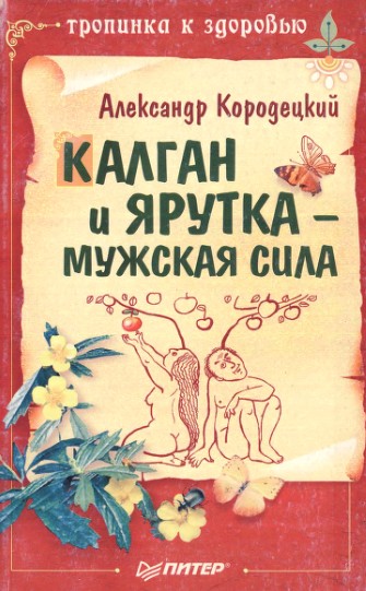 Калган и ярутка – мужская сила