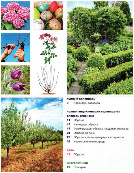 Коллекция садовника №8 (апрель 2012)