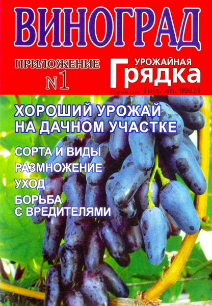 Урожайная грядка. Виноград №1 (2012)
