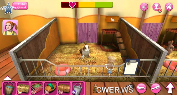 PetWorld 3D: приют для зверей