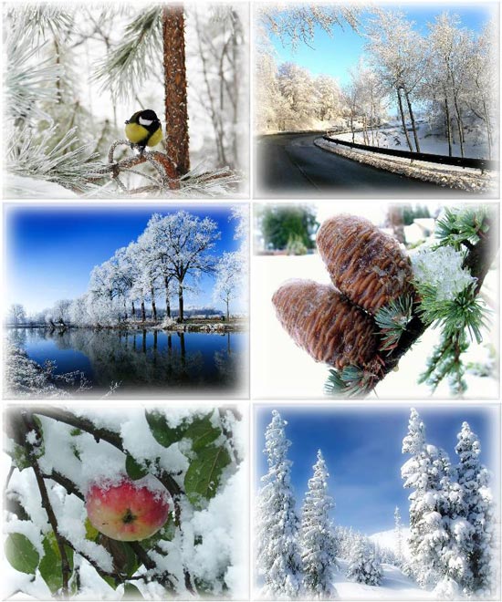 Beautiful Winter Wallpapers