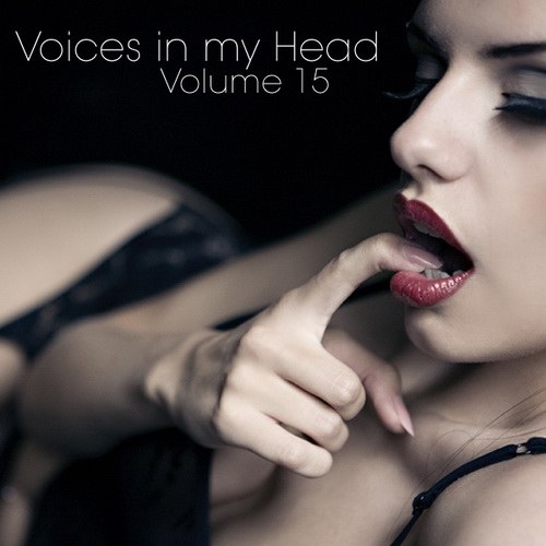 скачать Voices in my Head Volume 15 (2011)