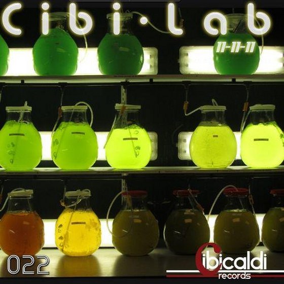 скачать Cibilab (2011)