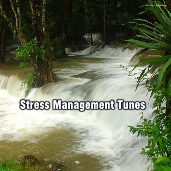 скачать Stress Management Tunes (2012)