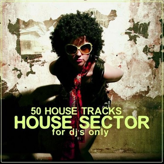 скачать House Sector: 50 House Tracks (2012)