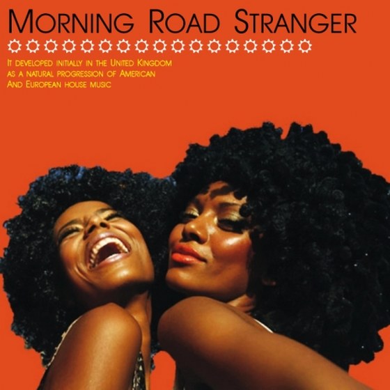 скачать Morning Road Stranger (2013)