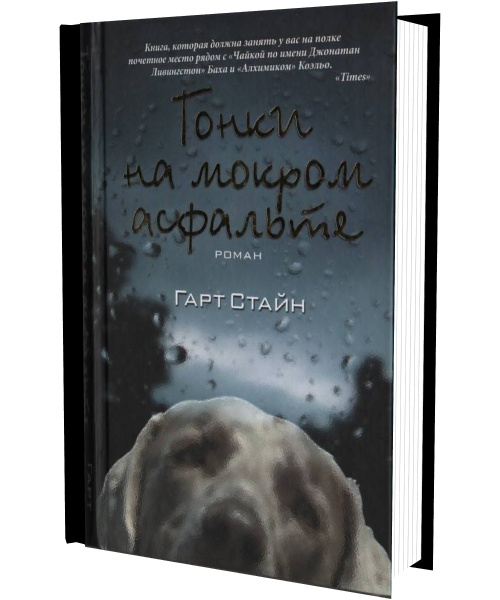 Гонки на мокром асфальте