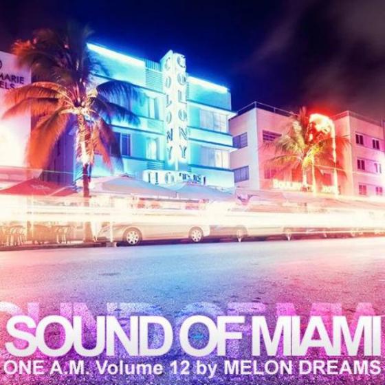 Sound Of Miami: One A.M. Volume 12