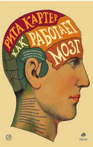 Как работает мозг