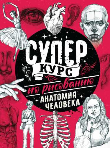 Мистер Грей. Суперкурс по рисованию. Анатомия человека