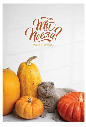 Олеся Куприн. Ты поела? Hello autumn!