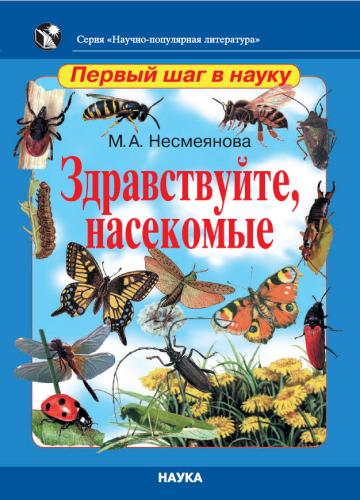 Здравствуйте, насекомые