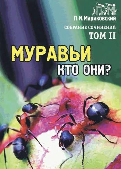 Муравьи, кто они?