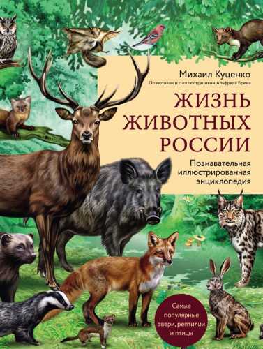 Жизнь животных России
