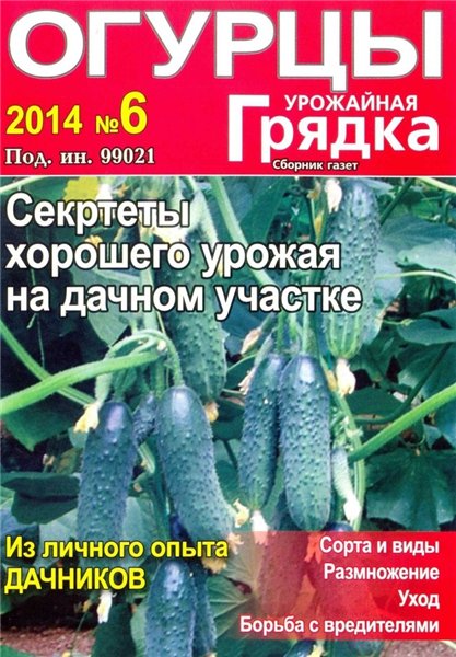 Урожайная грядка №6 (июнь 2014)