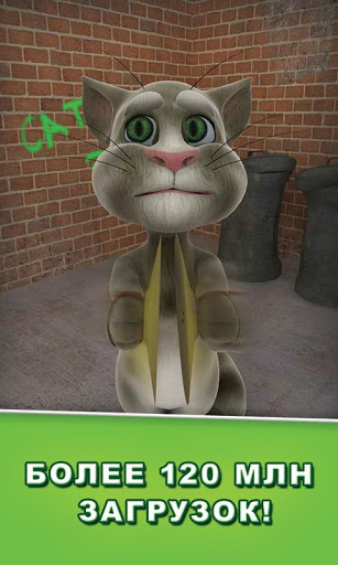 Talking Tom Cat (2013)