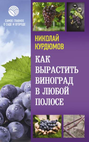 kak-vyrastit-vinograd-v-lyuboy-polose