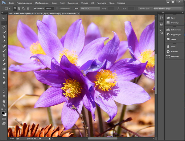 Adobe Photoshop CC 2015