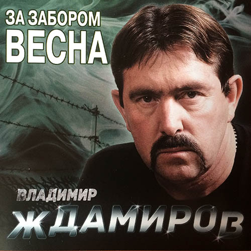 V_Zhdamirov_Za_zaborom