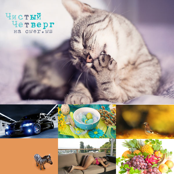 New Mixed HD Wallpapers Pack 169