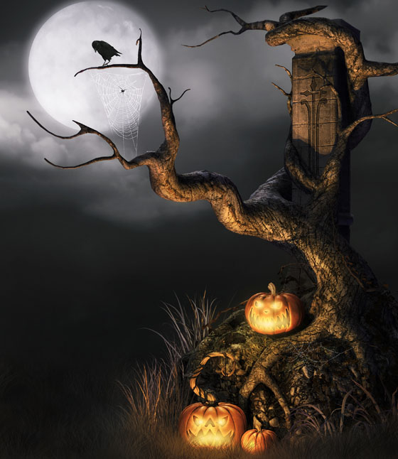 Halloween Eve Backgrounds