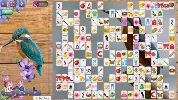 Hidden Pairs 3: Lovely Birds