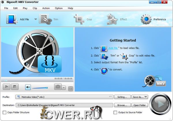 Bigasoft MKV Converter 3