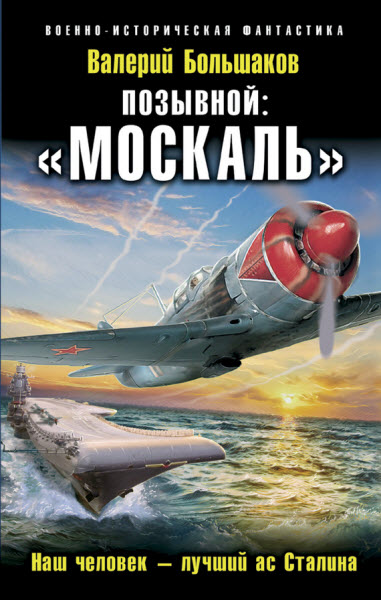 Валерий Большаков. Позывной: «Москаль». Наш человек – лучший ас Сталина